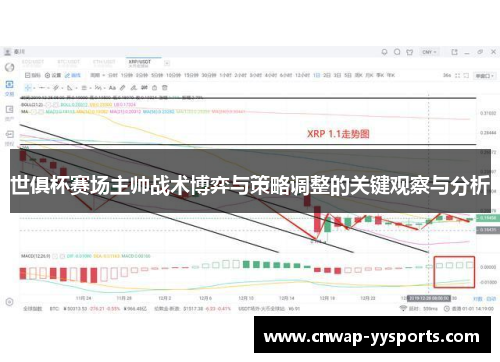 世俱杯赛场主帅战术博弈与策略调整的关键观察与分析