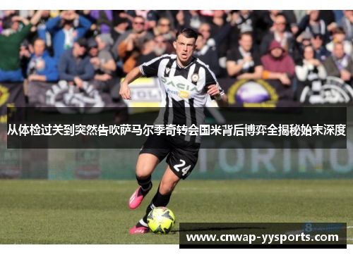 从体检过关到突然告吹萨马尔季奇转会国米背后博弈全揭秘始末深度