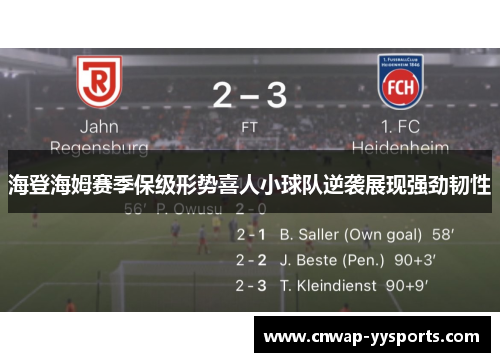 海登海姆赛季保级形势喜人小球队逆袭展现强劲韧性
